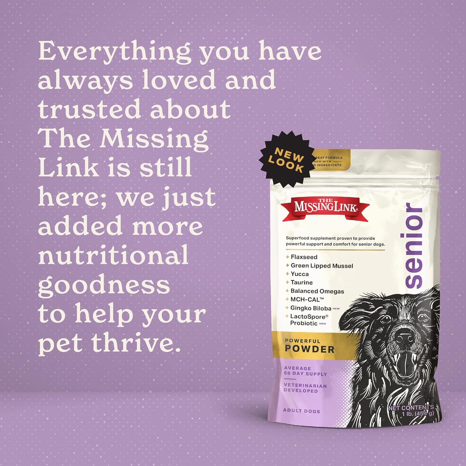 Senior Dog Supplement 1lb Bag - Powerful Powder Supports Bones - Image 8
