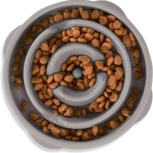 Feeder Bowl Puzzle Maze Small to Medium Dogs
