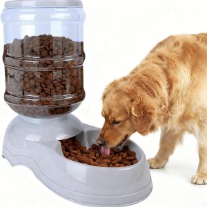 Automatic Dog Feeders