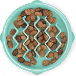 Feeder Slow Bowl 3/4 Cup