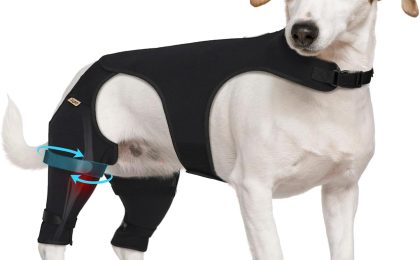 How much is dog Acl surgery?