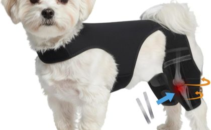 Dog Acl surgery near me