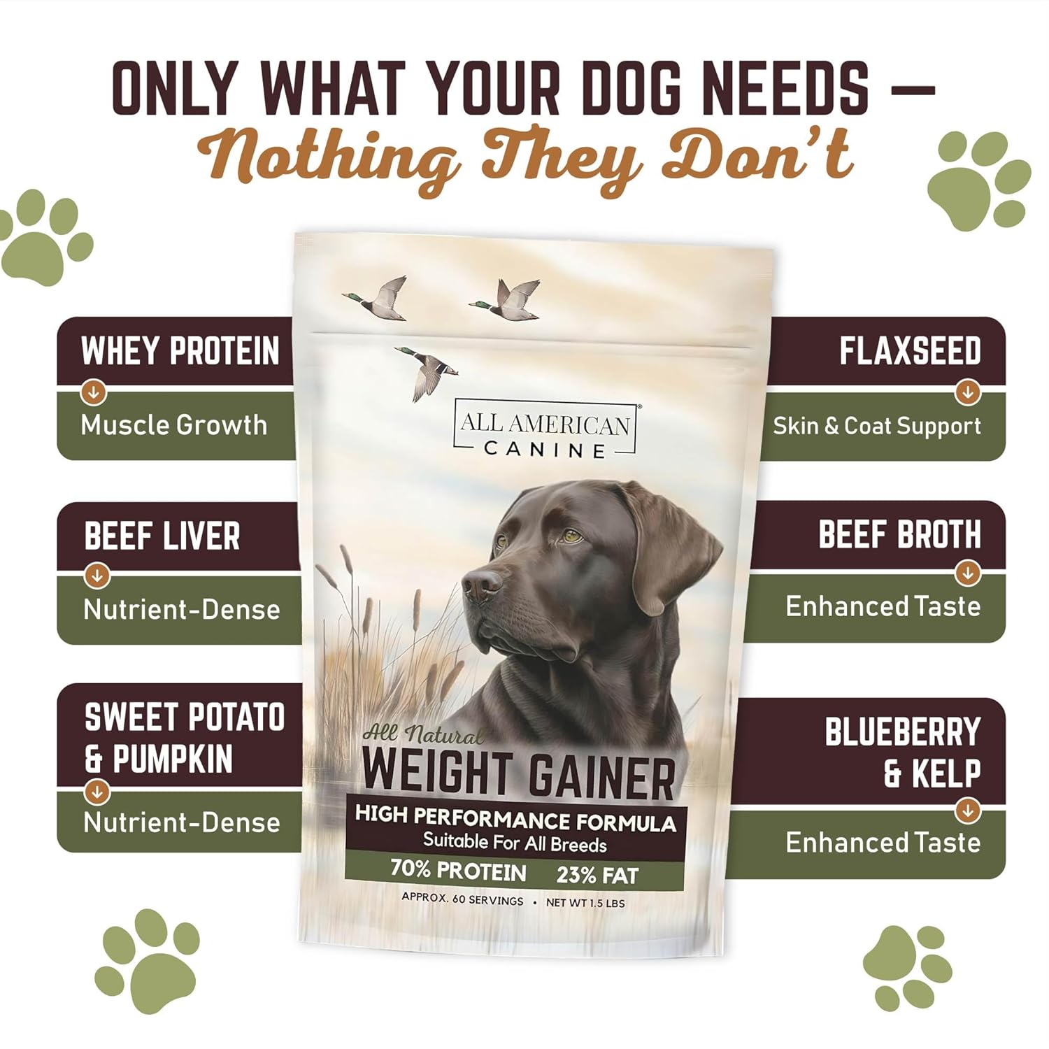 Canine Dog Weight Gainer - Image 2
