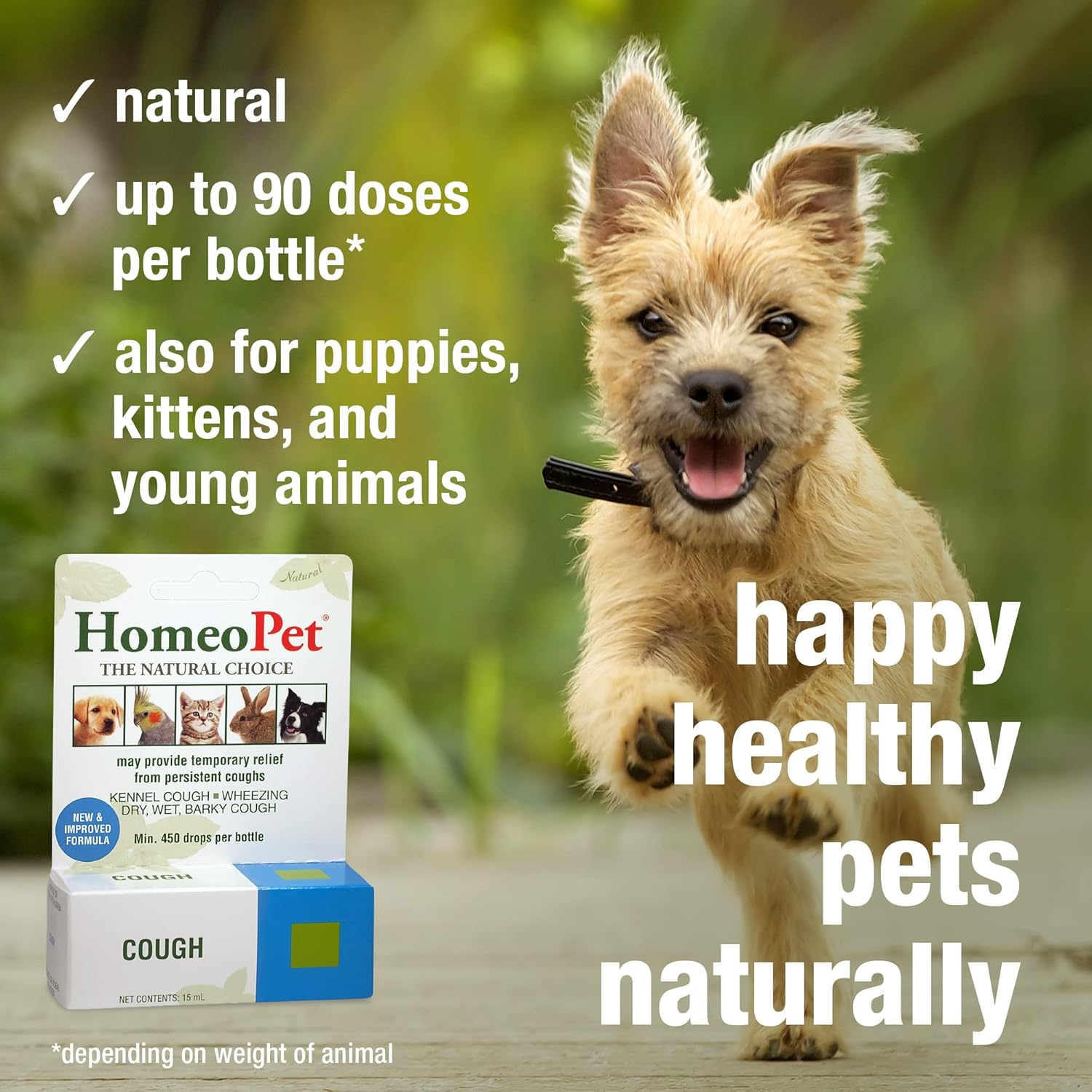 Dogs Cough Supplement - Image 4