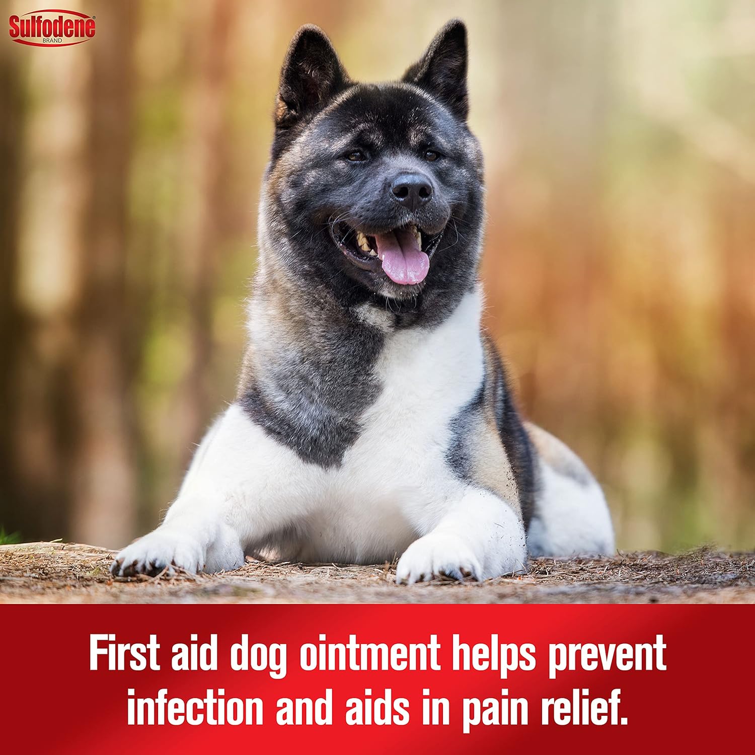 Dog Wound Ointment - Image 4