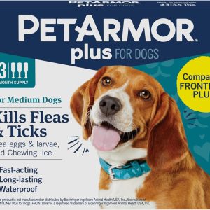 Dog Flea and Tick Treatment