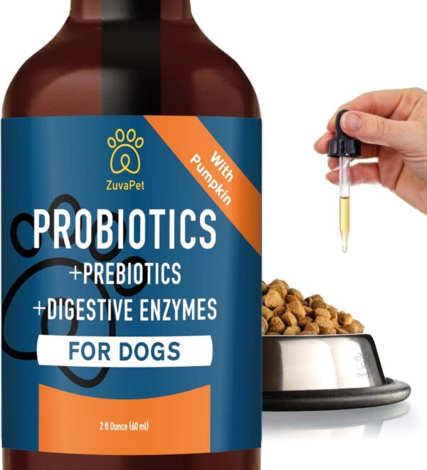 Dog Probiotics for Diarrhea – Dog Carely