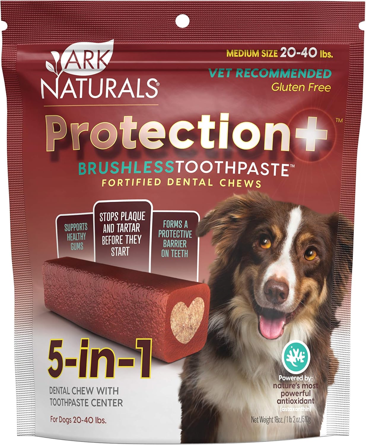 Dog Dental Chew
