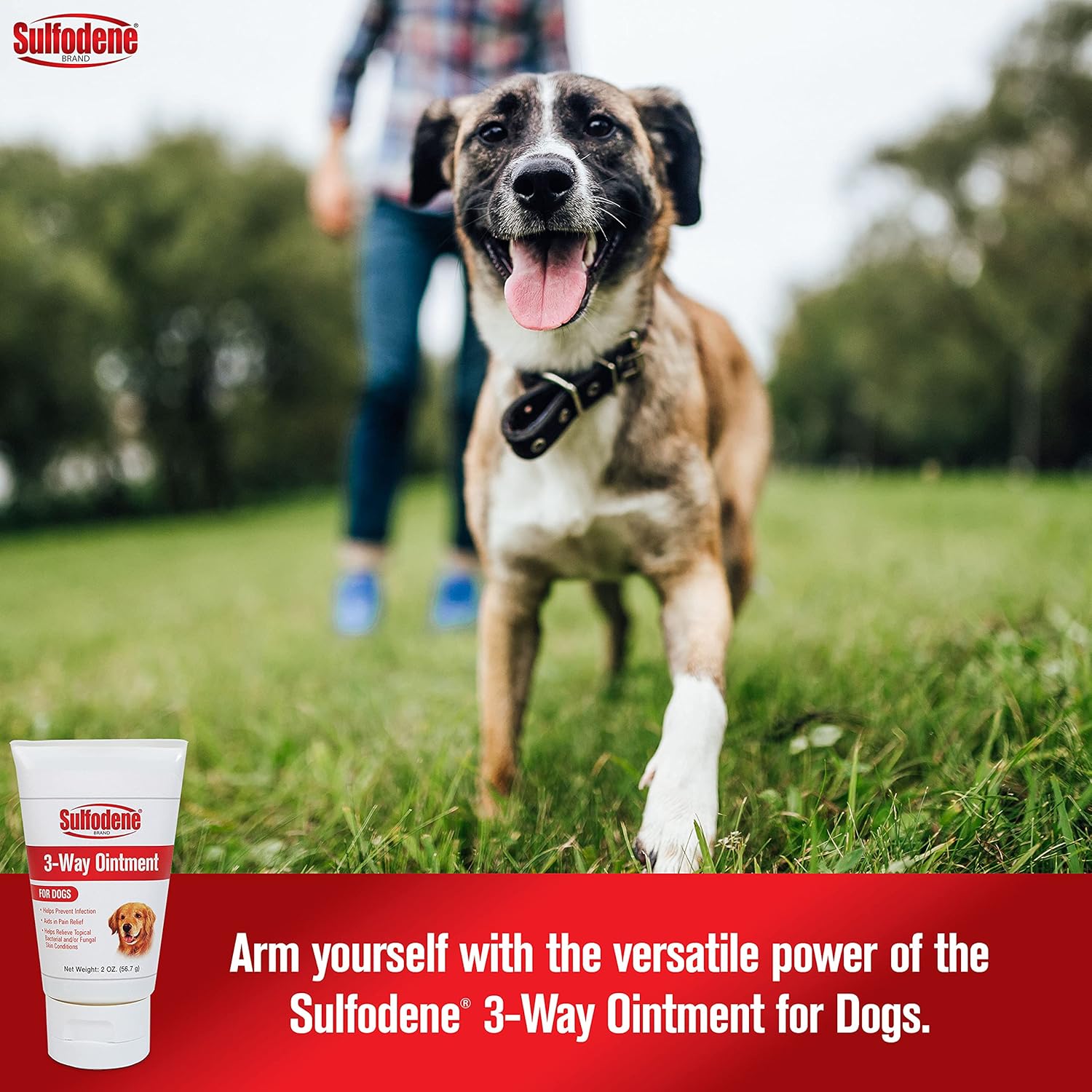 Dog Wound Ointment - Image 5