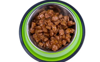 Zignature lamb dog food