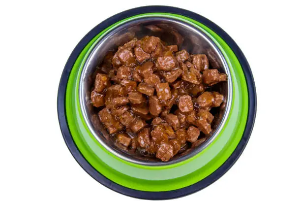 Zignature lamb dog food