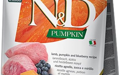 N&D Dog Food: A Complete Guide to Ingredients, Benefits, and Quality Nutrition