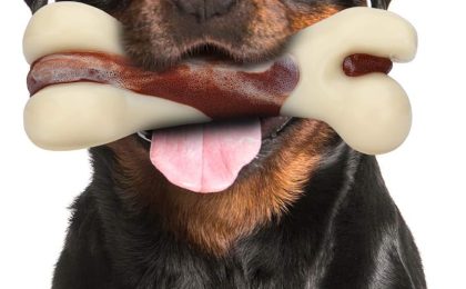 Marrow Bones for Dogs: Are They Safe? Benefits, Risks, Feeding Guide, and Safer Alternatives