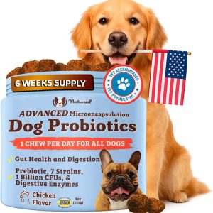 Natural Dog Company Gut Health & Canine Specific Probiotics Chews