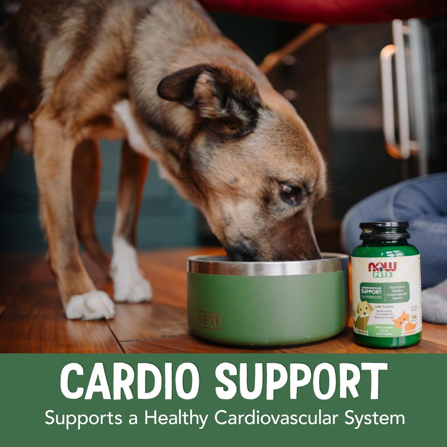 Cardiovascular Support Supplement for Dogs - Image 5