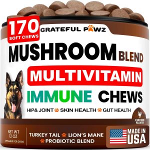 Turkey Tail Mushroom Supplement for Dogs - 170 Chews