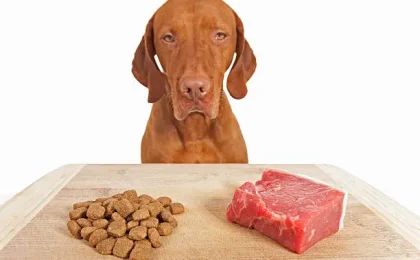 Turkey Venison Dog Food Benefits, Nutrition.