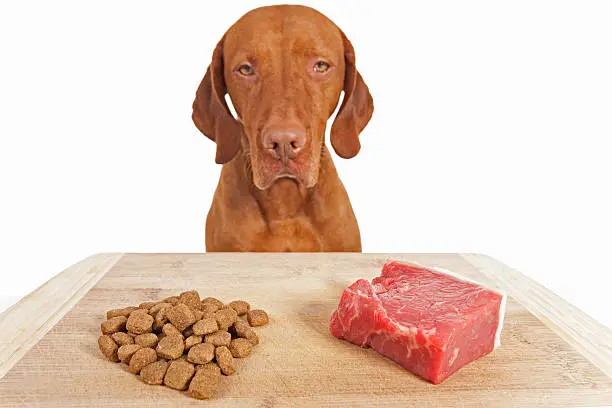 Turkey Venison Dog Food Benefits, Nutrition.