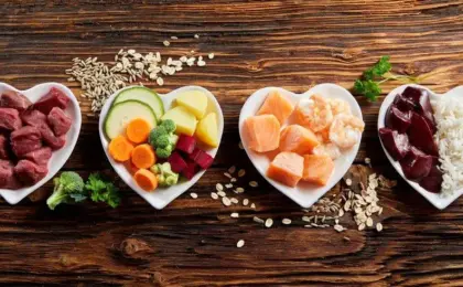 Omega 3 Dog Food