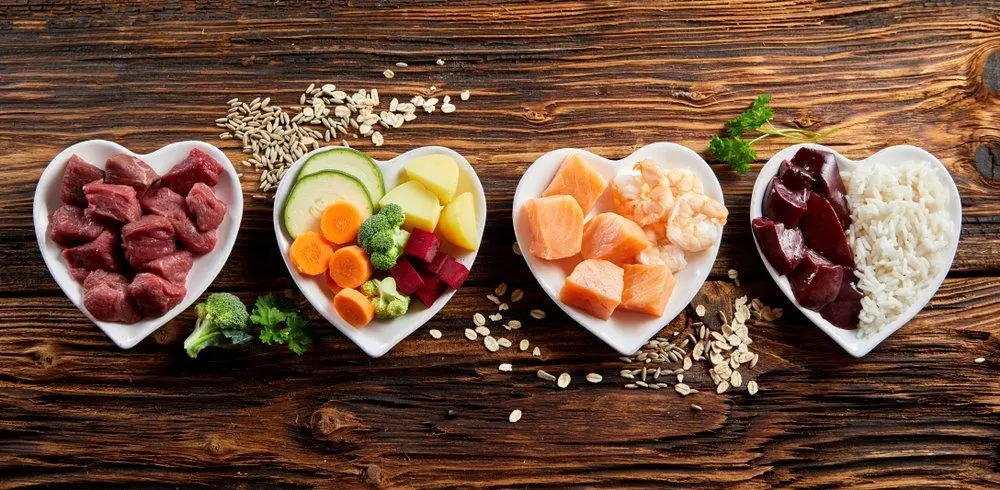 Omega 3 Dog Food