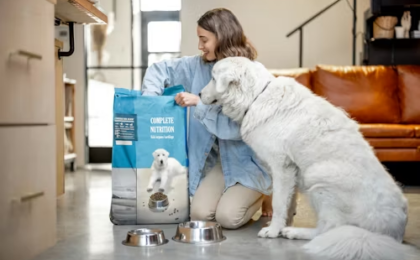 Dog Food Reviews