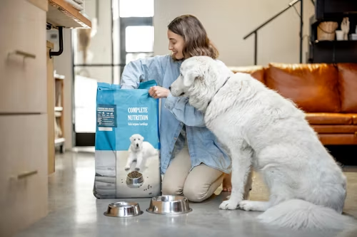 Dog Food Reviews