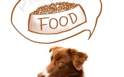 Low Phosphorus Dog Food A Complete Guide for Kidney Health in Dogs
