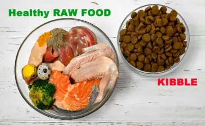 Raw Dog Food Serious Nutrition For Healthy Dogs