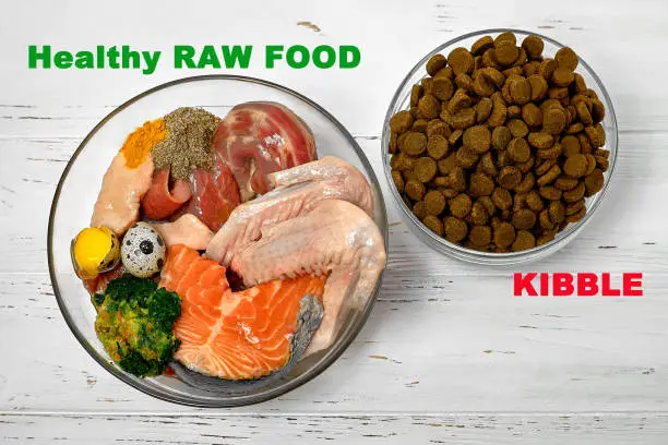 Raw Dog Food Serious Nutrition For Healthy Dogs