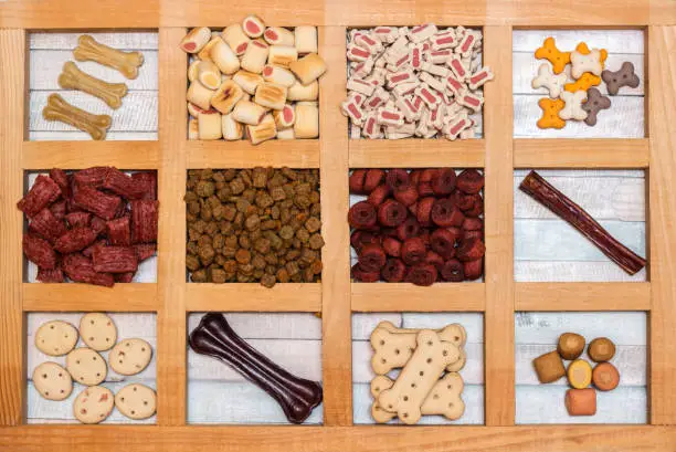 Best Dog Food for Specific Breeds: Complete Guide for Choosing the Right Food for Your Dog