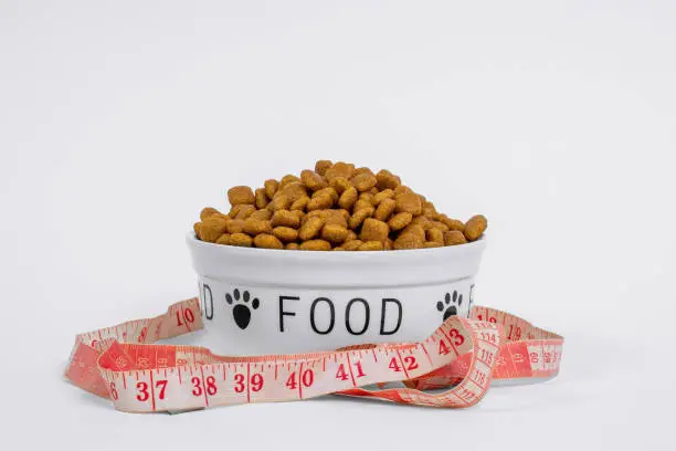 Best Dog Foods for Weight Loss Complete Guide for Healthier Happier Dogs