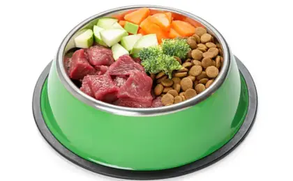 Best Organic Dog Food A Complete Guide to Healthier Canine Nutrition