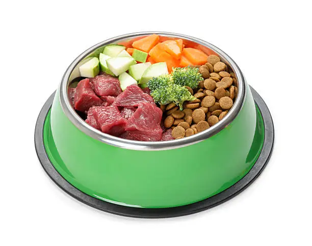 Best Organic Dog Food A Complete Guide to Healthier Canine Nutrition