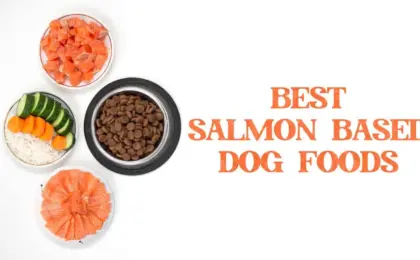 Salmon and Sweet Potato Dog Food A Complete Guide to Healthy Canine Nutrition