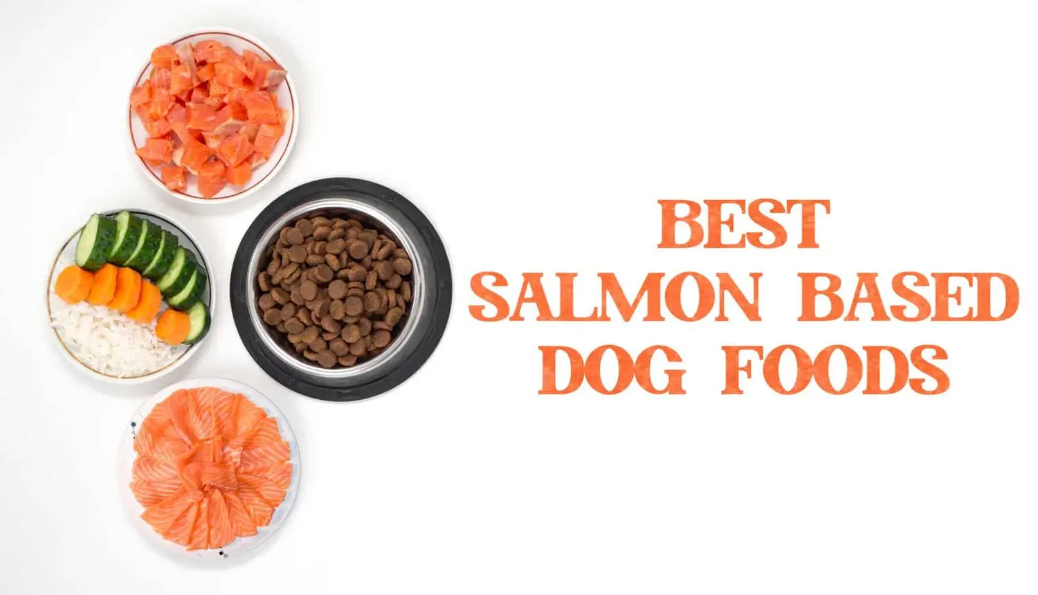 Salmon and Sweet Potato Dog Food A Complete Guide to Healthy Canine Nutrition