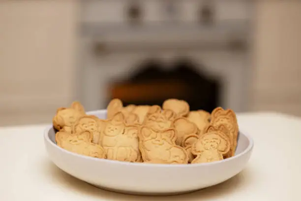 Best Dog Food for Poodles