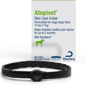 Skin Care Collar for Dogs
