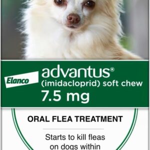 Dog Fast Acting Oral Flea Treatment Soft Chewable 4 - 22 lbs