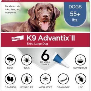 Dog Vet Recommended Flea Tick
