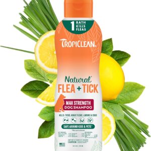 Flea and Tick Shampoo Treatment for Dogs 20oz
