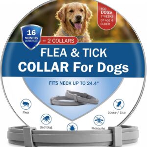 Flea Tick Collar for Dogs