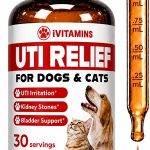 Cat  Dog UTI Treatment