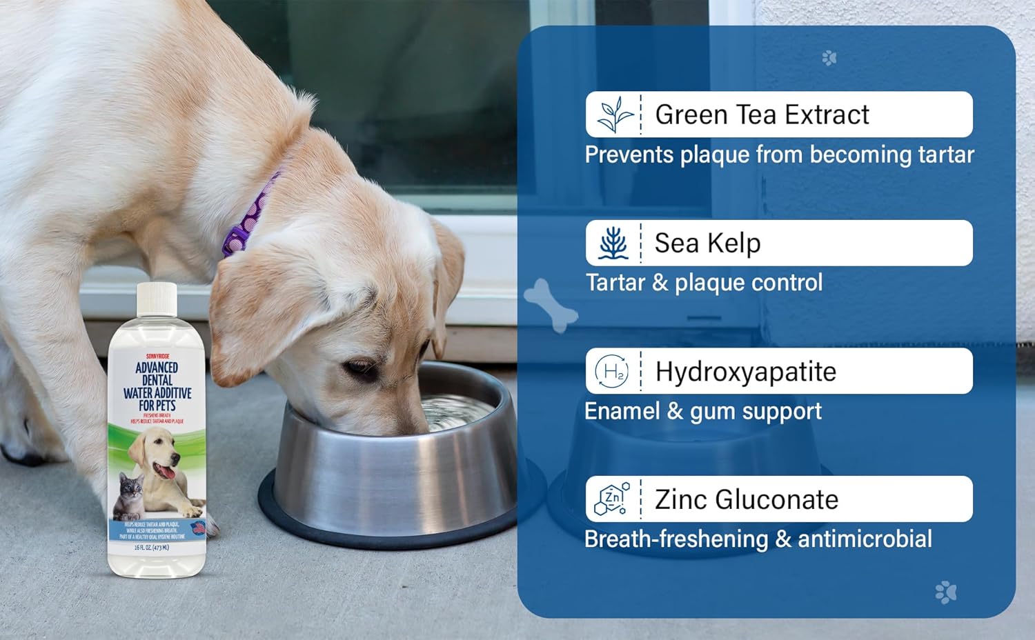Premium Advanced Dog and cat Dental - Image 5