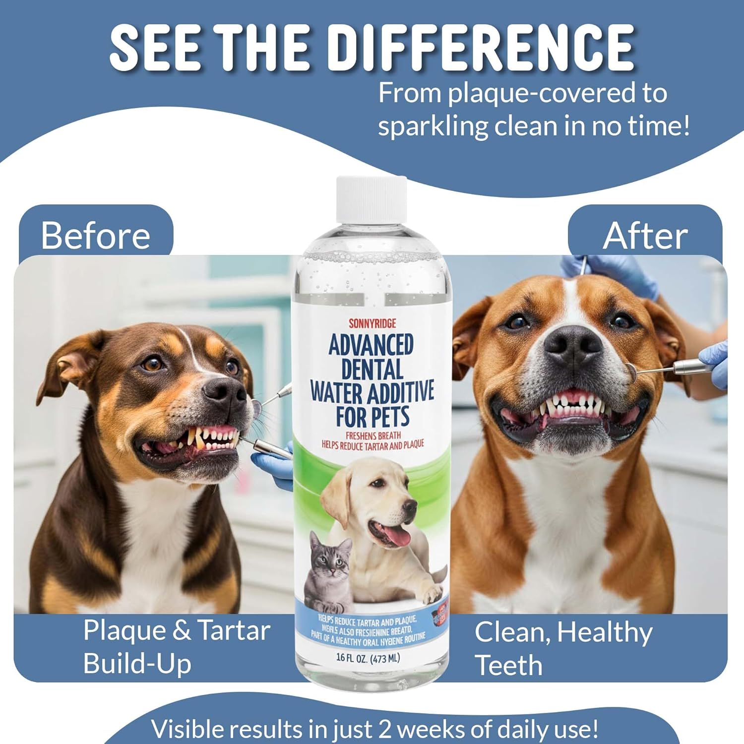 Premium Advanced Dog and cat Dental - Image 2