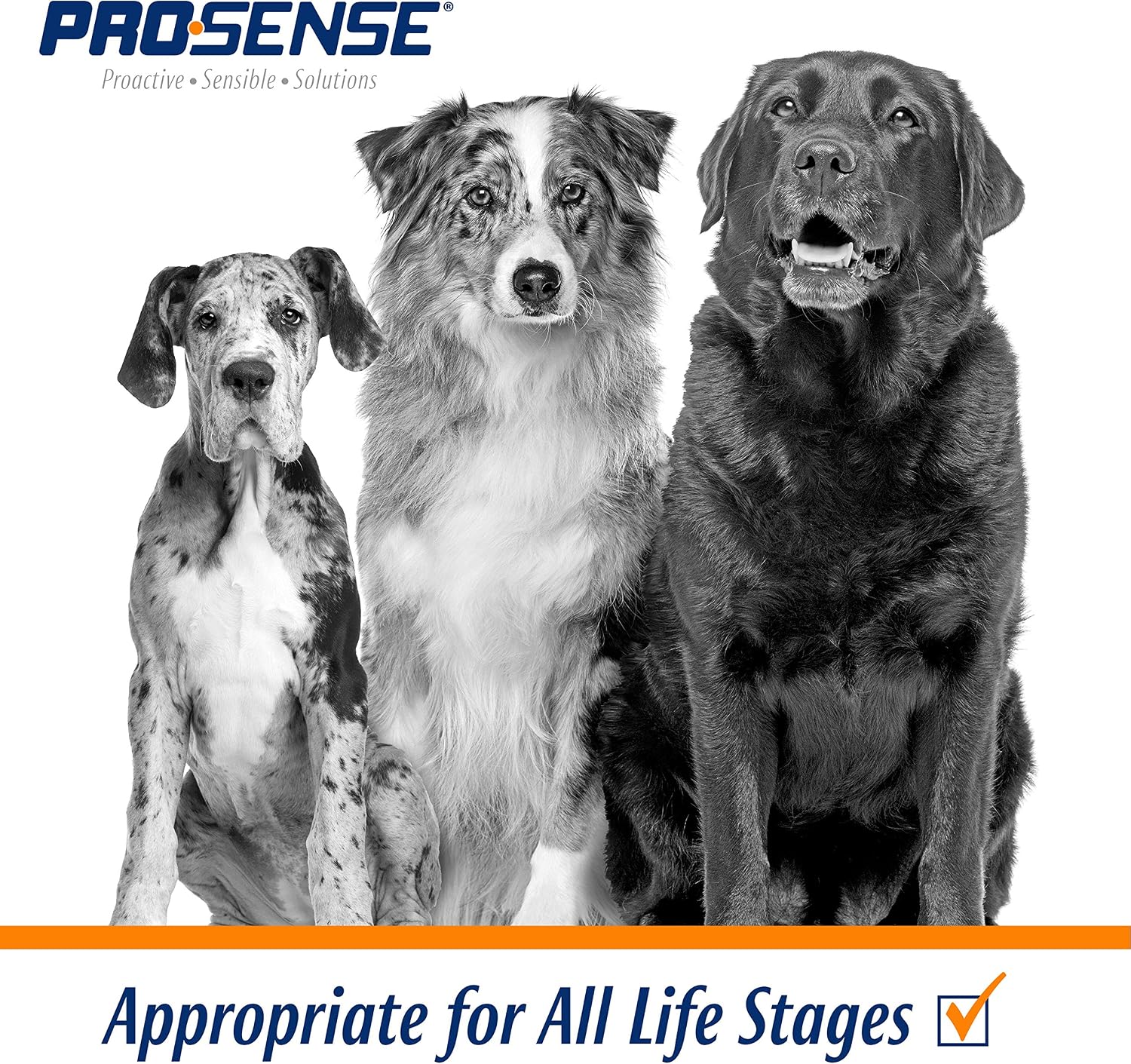 PRO SENSE Vitamin Solutions - Image 5