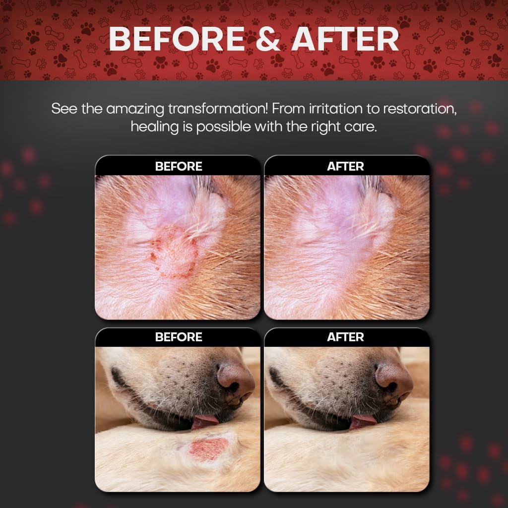 Chlorhexidine Wipes for Dogs - Image 2