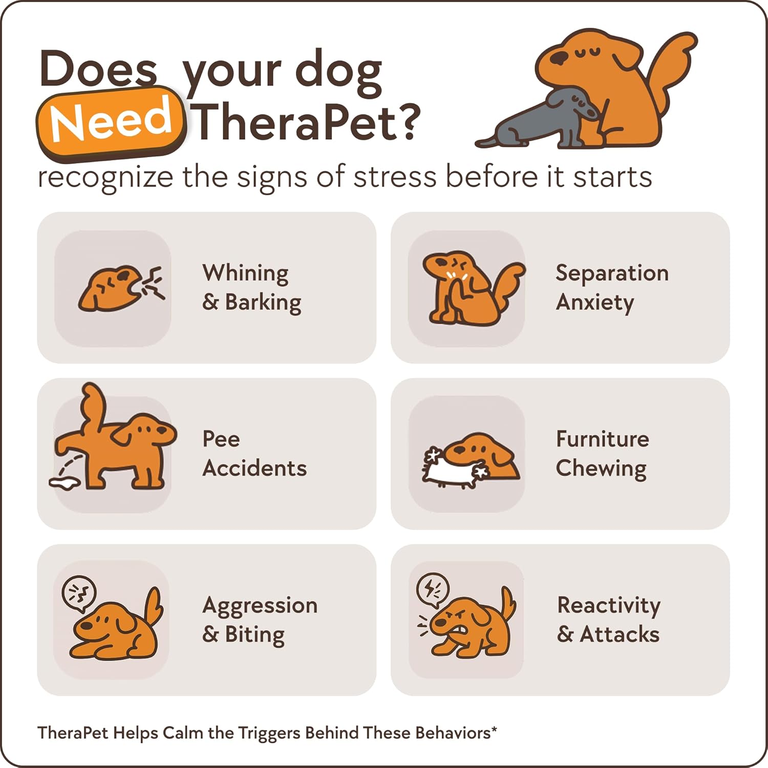Dog Calming Diffuser Kit - Image 3