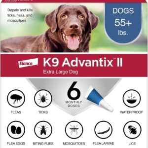 Dog Vet Recommended Flea Tick Mosquito Treatment Prevention
