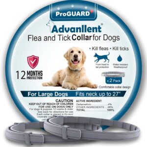 Flea and Tick Prevention for Dogs