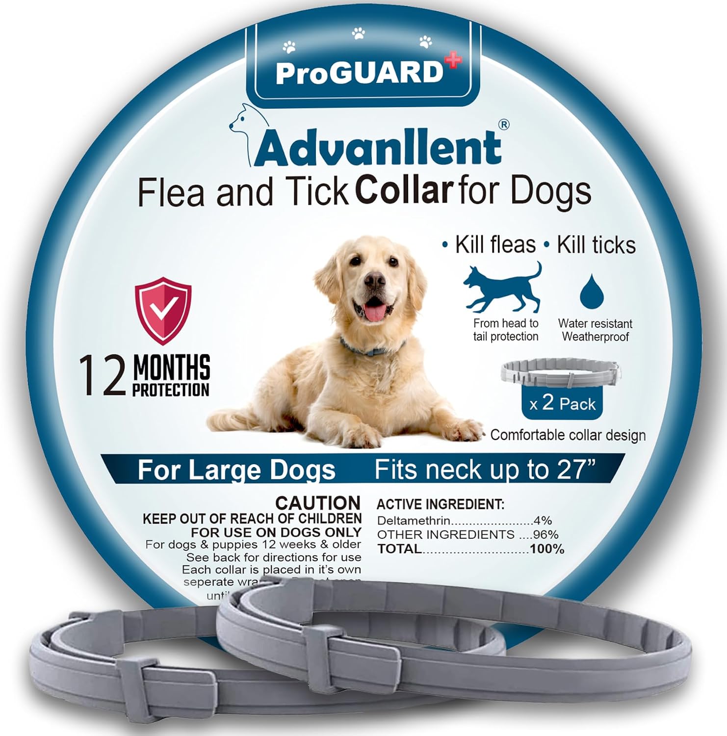 Flea and Tick Prevention for Dogs